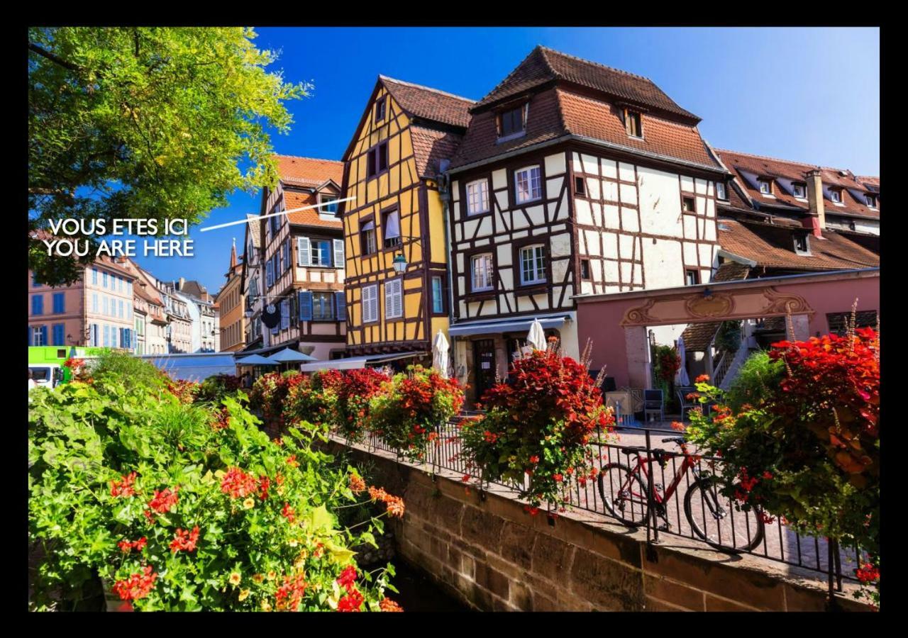 Le Studio 1586 - Centre Historique Colmar Exterior photo